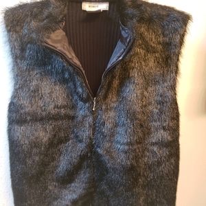 Fur Vest (acrylic)